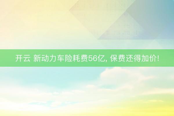 开云 新动力车险耗费56亿, 保费还得加价!