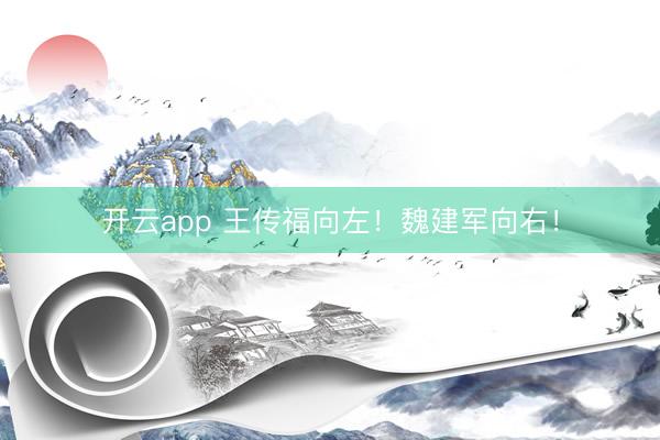 开云app 王传福向左！魏建军向右！